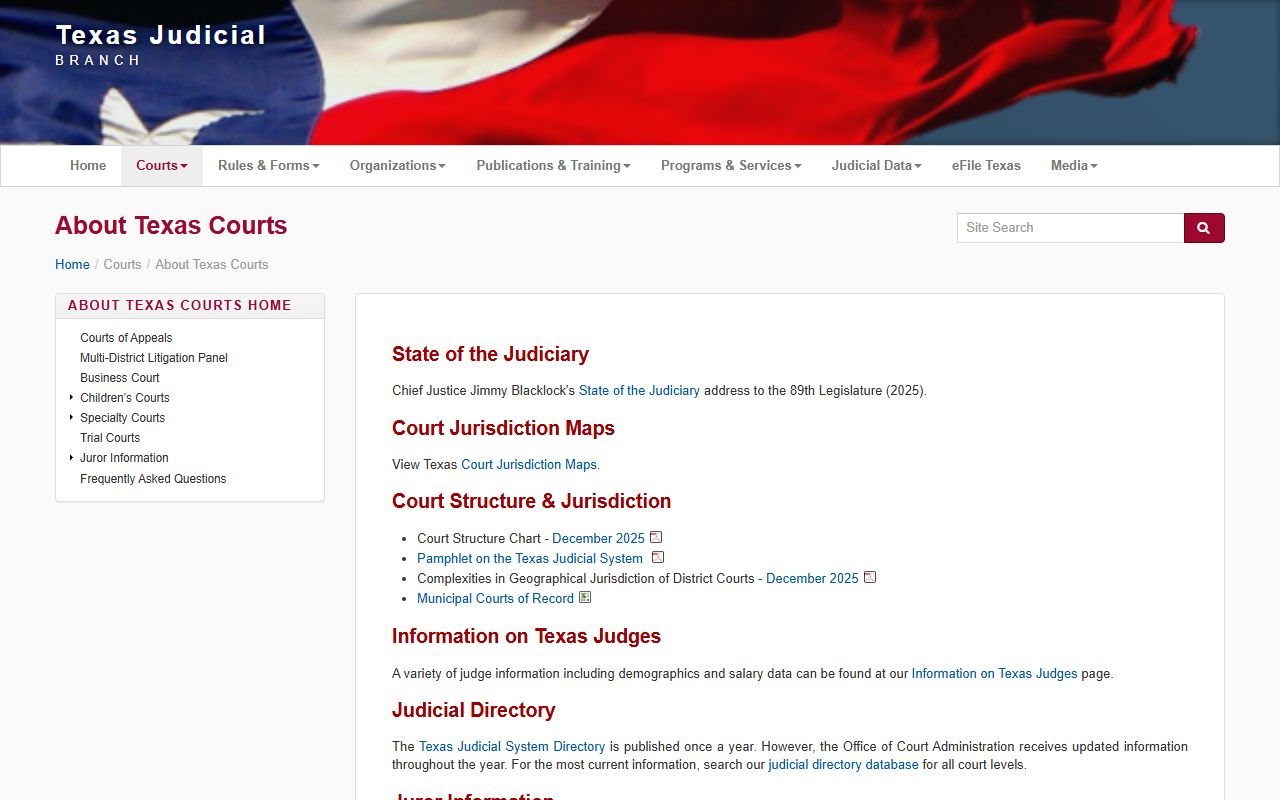 Texas Judicial Branch courts overview used for Nueces County court records research